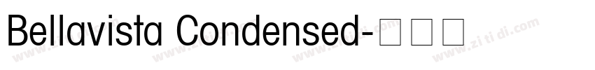 Bellavista Condensed字体转换